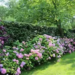 B&B Pronkenburg