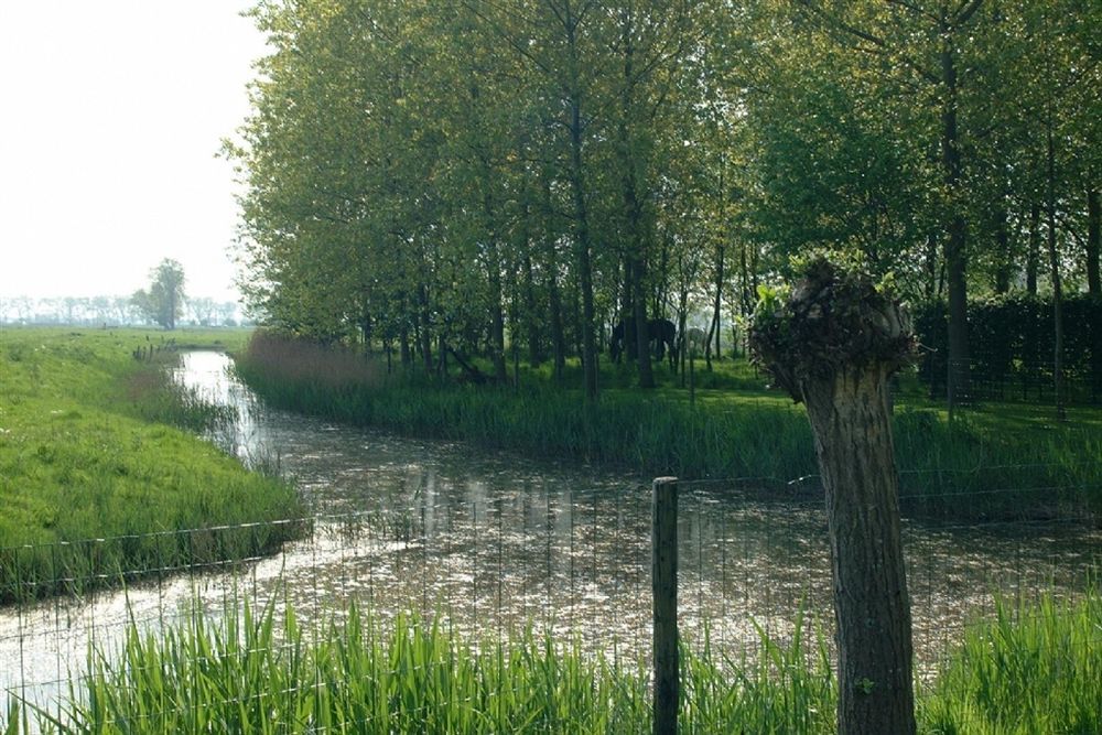 Pronkenburg 4* Bruges